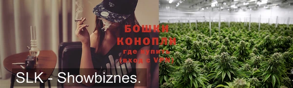 apvp Белокуриха