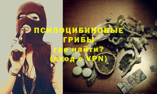 apvp Белокуриха