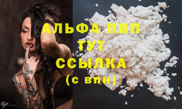 apvp Белокуриха