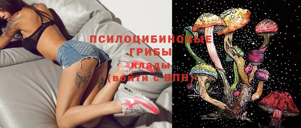 гашиш Богородицк