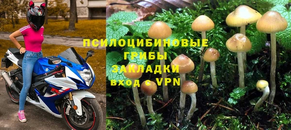 ПСИЛОЦИБИНОВЫЕ ГРИБЫ Богородск