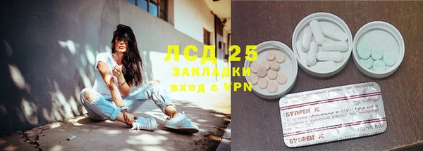 эйфоретик Беломорск