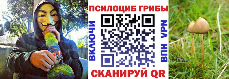 mega как зайти  Обь  Псилоцибиновые грибы мухоморы  где найти наркотики 