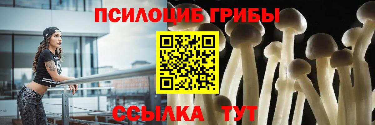 Обь  Галлюциногенные грибы GOLDEN TEACHER  Вход с VPN 